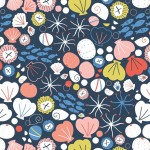 Rock Pool-Shells and Fish