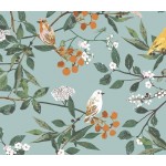 Plentiful-Melodic Plumage Day
