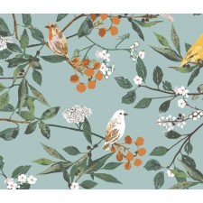 Plentiful-Melodic Plumage Day